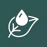 BodyInc icon